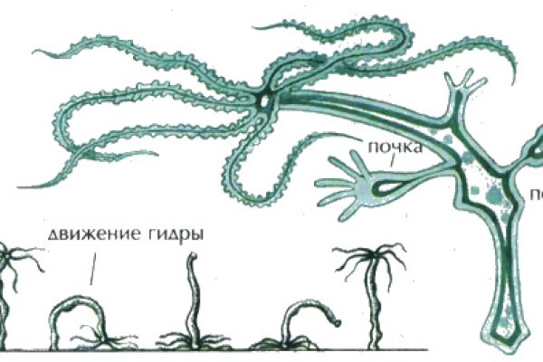 Кракен 16