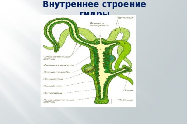 Не могу зайти в кракен